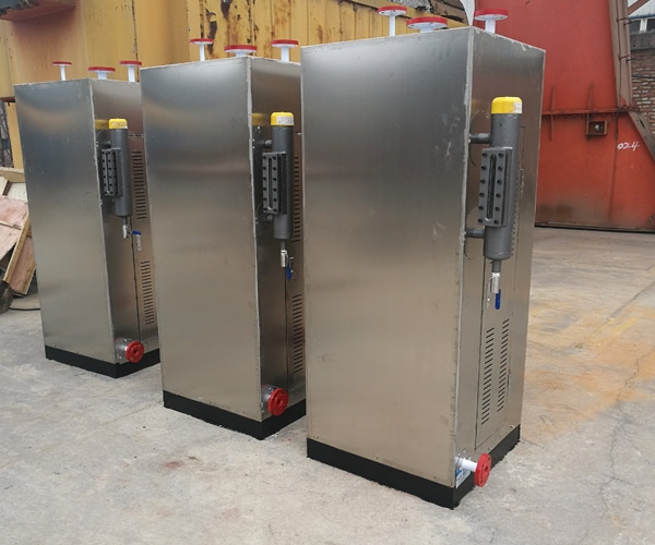  Vertical electric steam generator