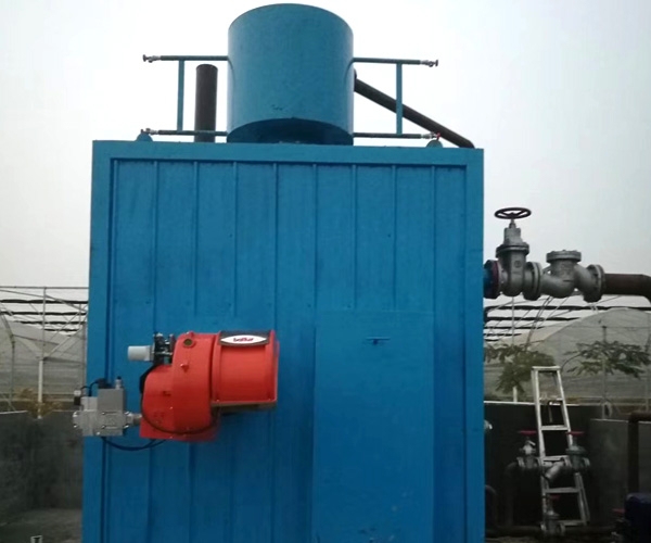  Biomass steam boiler