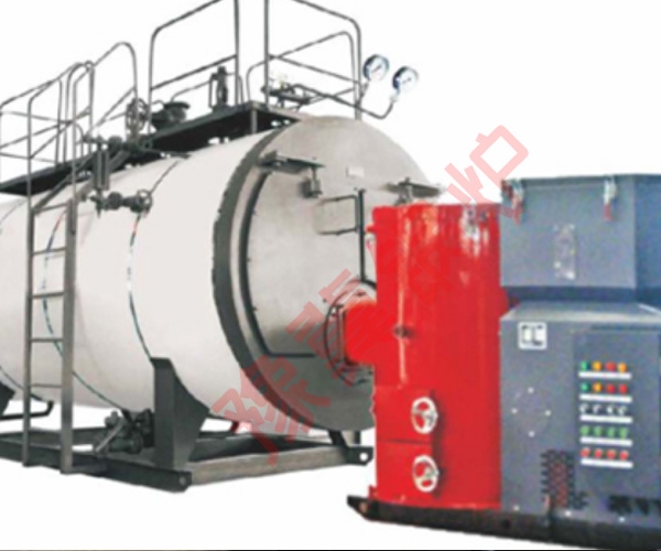  WNS biomass gas steam boiler