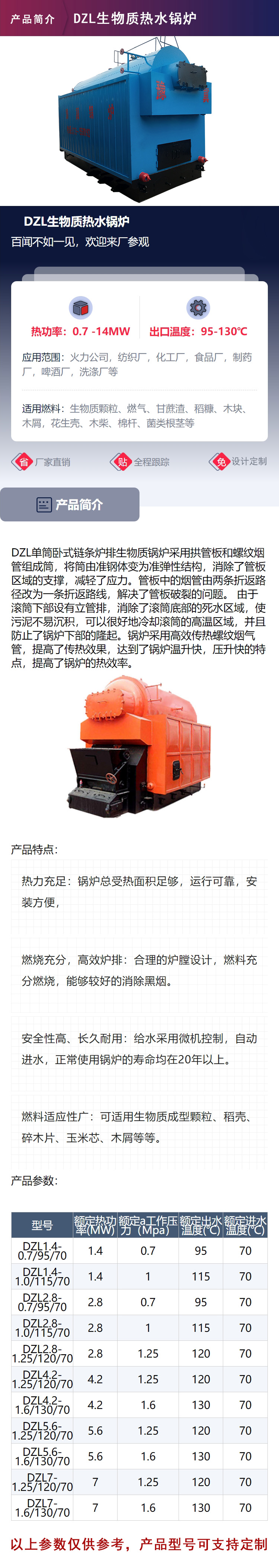  Biomass hot water boiler