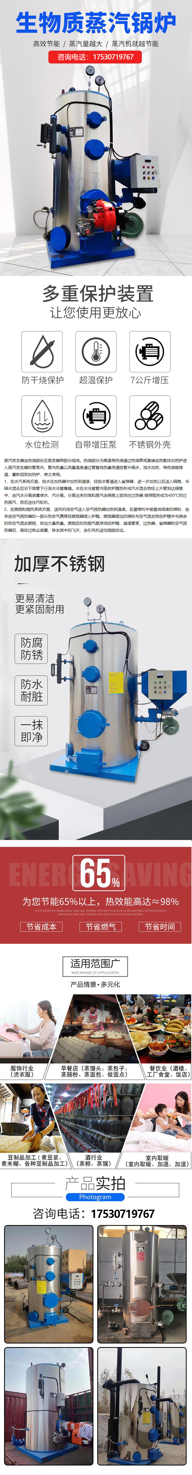  Biomass steam generator