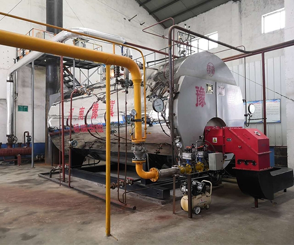  Low nitrogen fuel steam boiler