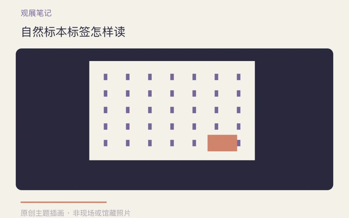 自然标本标签怎样读主题插画