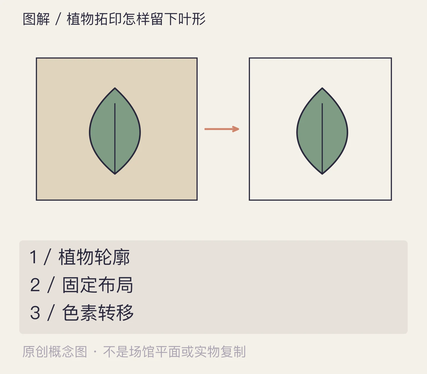 植物拓印怎样留下叶形:植物轮廓、固定布局、色素转移示意