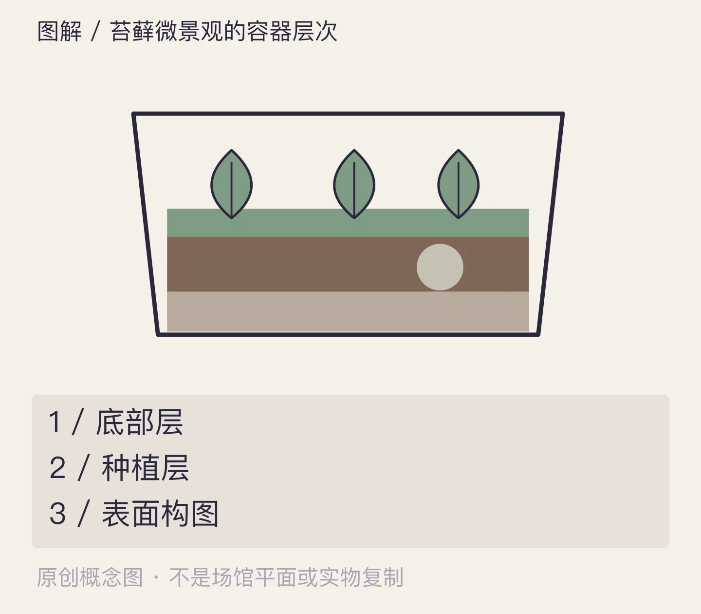 苔藓微景观的容器层次:底部层、种植层、表面构图示意