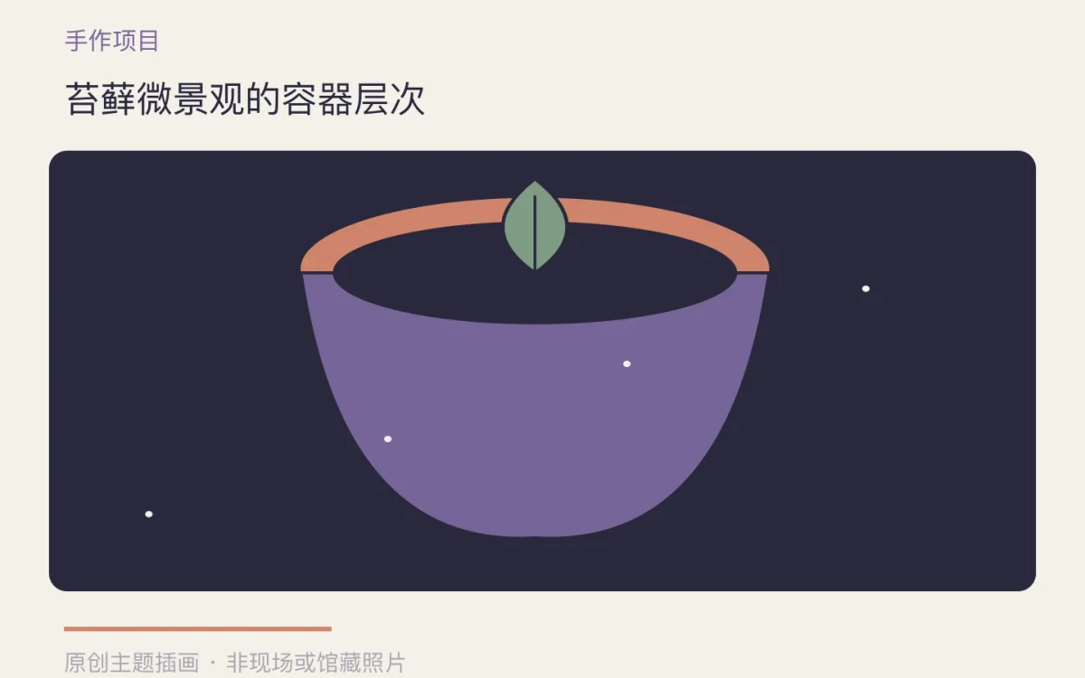 苔藓微景观的容器层次主题插画