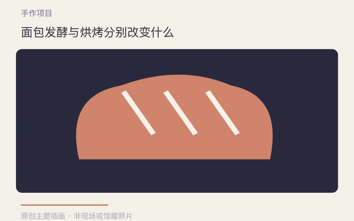 面包发酵与烘烤分别改变什么主题插画